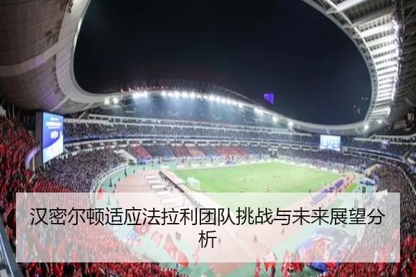 汉密尔顿适应法拉利团队挑战与未来展望分析