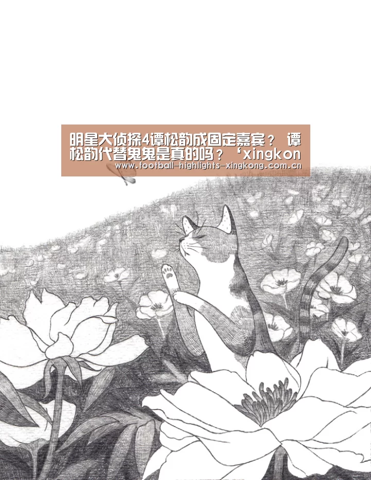 明星大侦探4谭松韵成固定嘉宾? 谭松韵代替鬼鬼是真的吗?‘xingkongyule’(图1) 星空娱乐官网登录