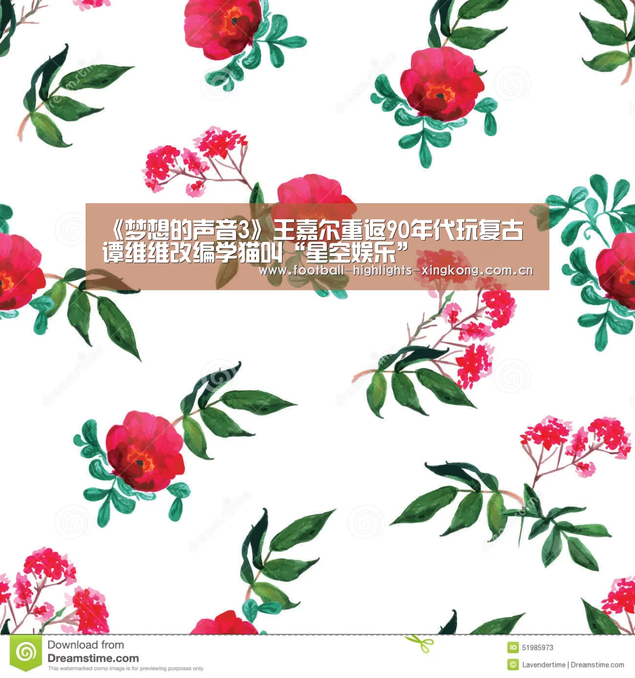 星空娱乐