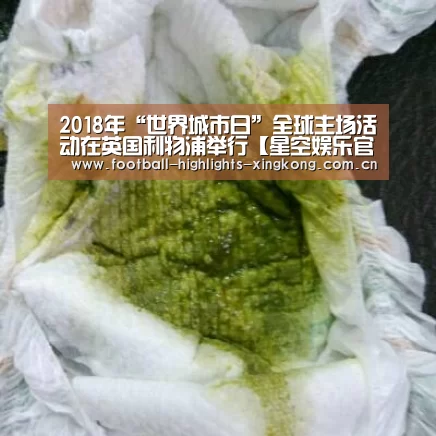 2018年“世界城市日”全球主场活动在英国利物浦举行【星空娱乐官网登录】(图1) 星空娱乐官网登录