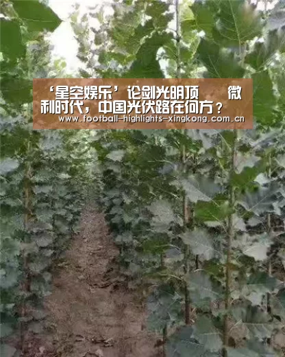 ‘星空娱乐’论剑光明顶――微利时代,中国光伏路在何方?(图2) 星空娱乐