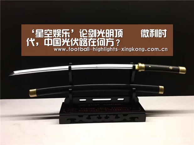 ‘星空娱乐’论剑光明顶――微利时代,中国光伏路在何方?(图1) 星空体育