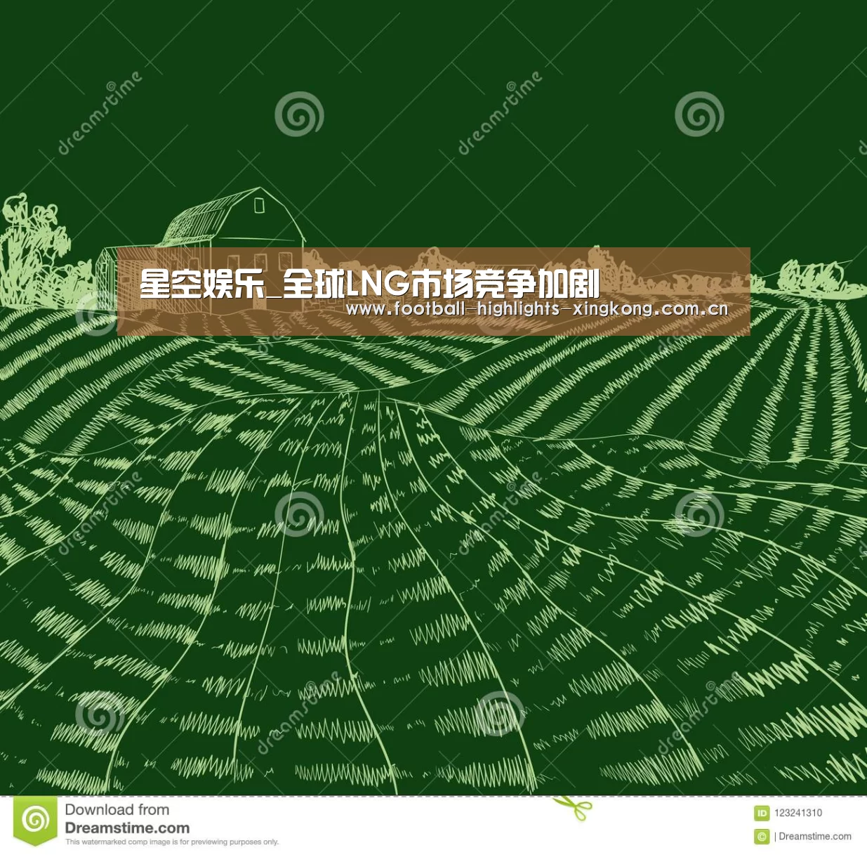 星空娱乐_全球LNG市场竞争加剧(图1) 星空体育