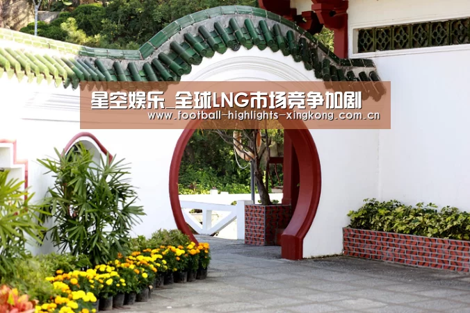 星空娱乐_全球LNG市场竞争加剧(图2) 星空体育