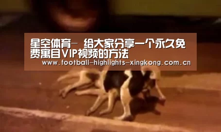 星空娱乐官网登录