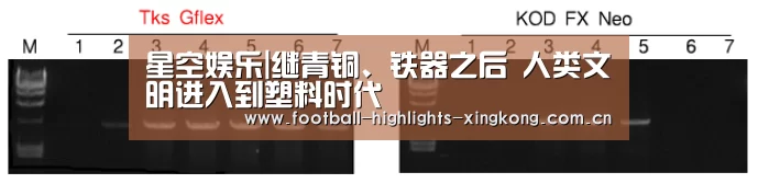 星空娱乐|继青铜、铁器之后 人类文明进入到塑料时代(图3) 星空体育