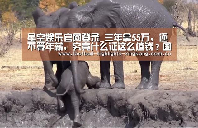 星空娱乐官网登录